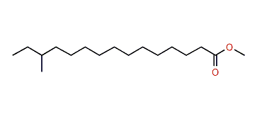 Methyl 13-methylpentadecanoate